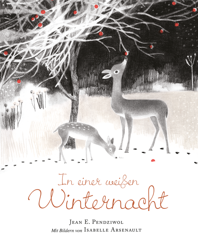in-einer-weissen-winternacht-titelbild